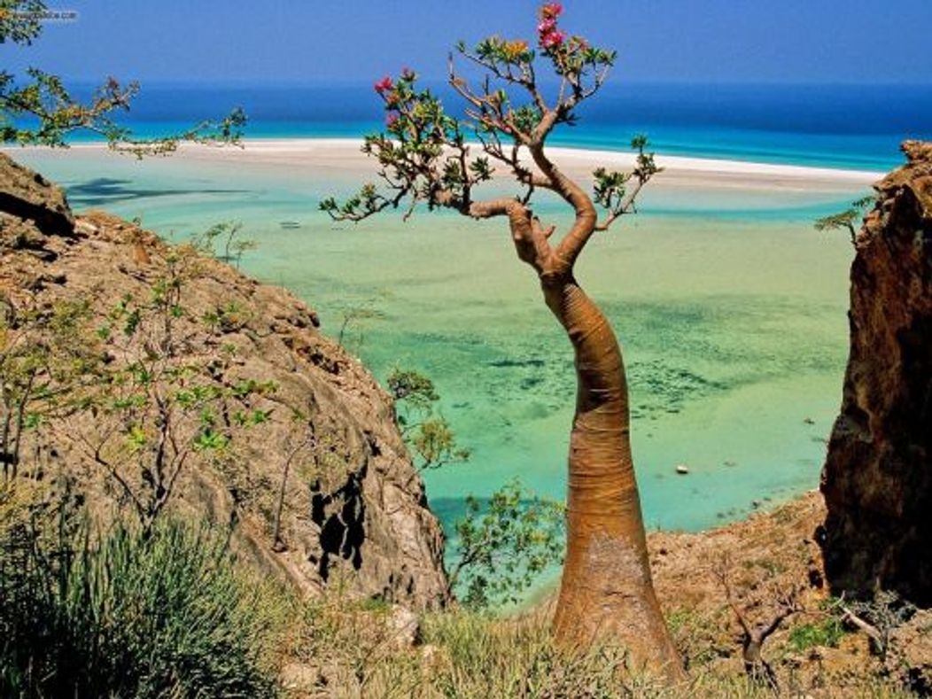 Socotra - Republica Yemen