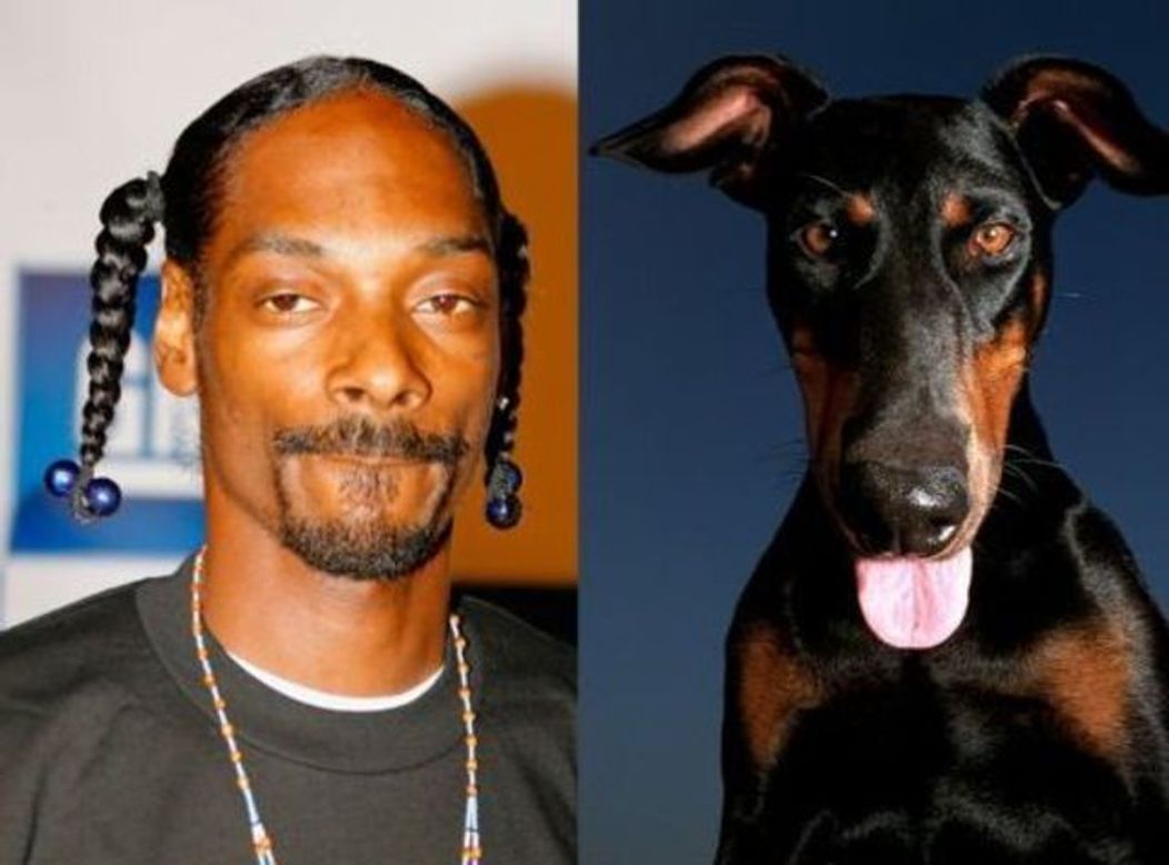 Snoop Dogg