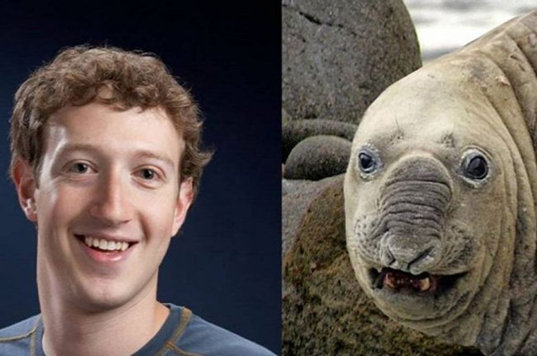 Mark Zuckerberg