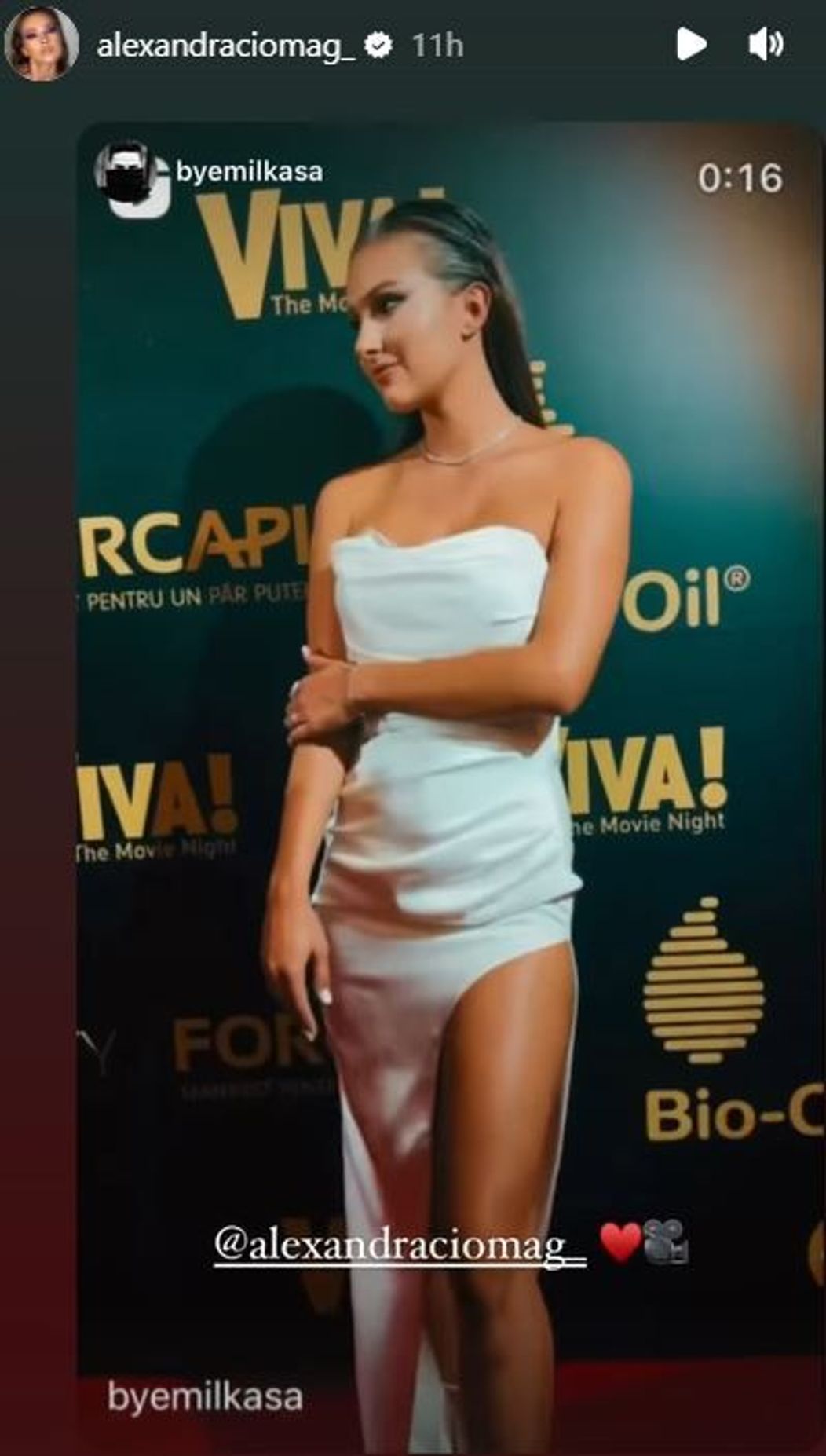 Alexandra Ciomag la petrecerea VIVA