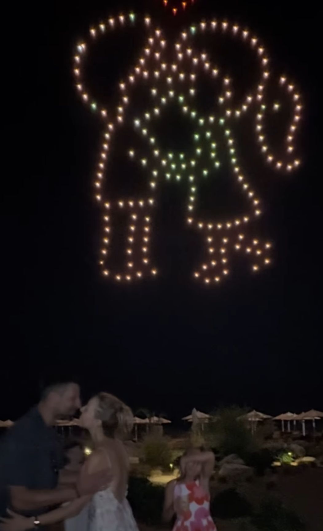vsvv