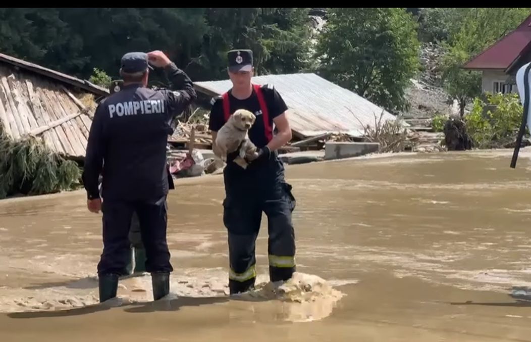 Captură de ecran 2025-07-29 135020