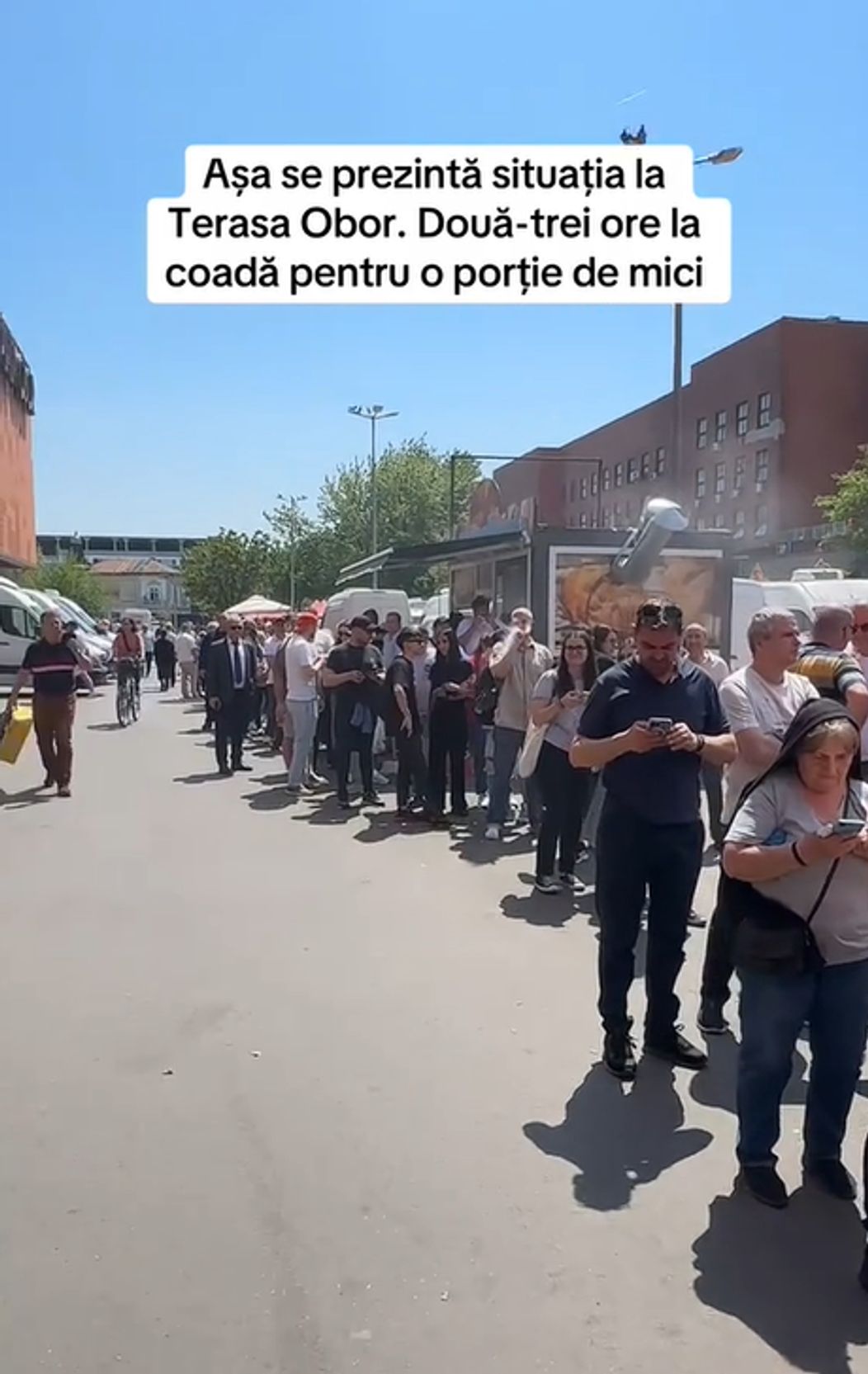 mici 1