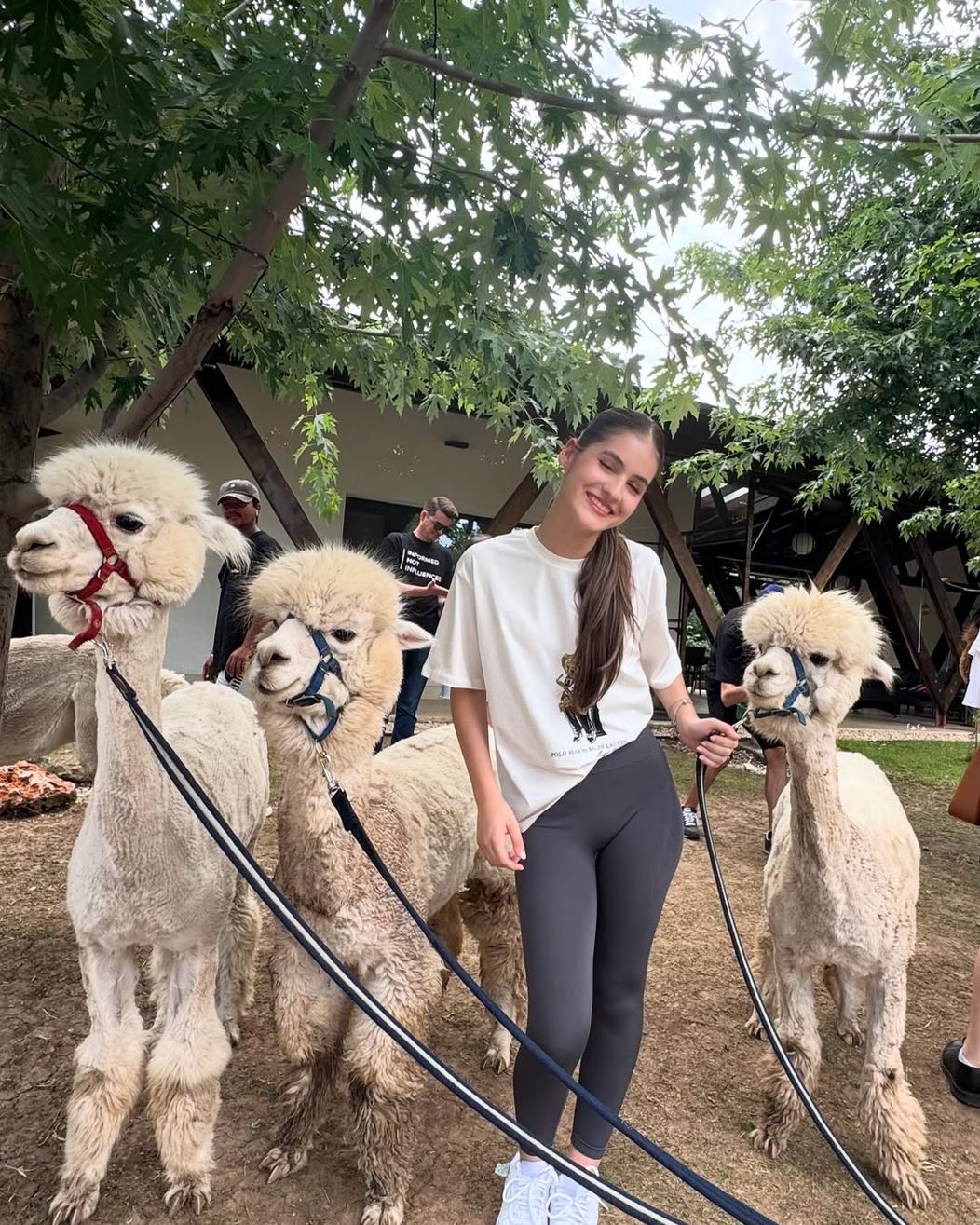 in looove🦙🤍 had the best time @thetribealpacaretreat !✨