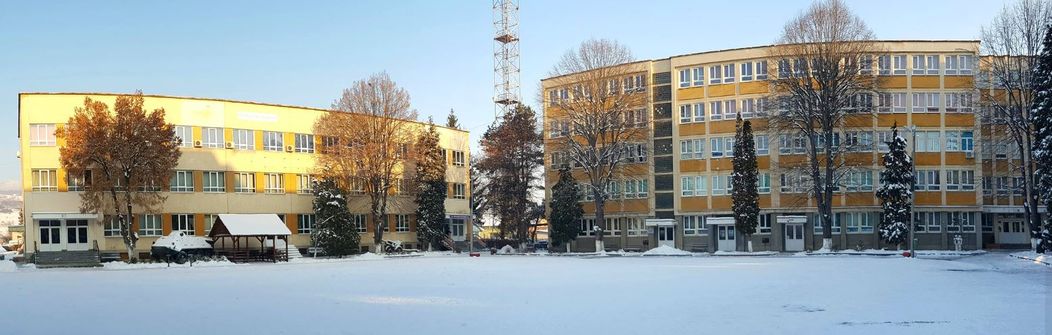 colegiu-alba-elev