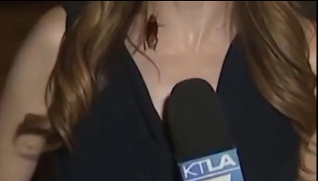 gandac tv 2