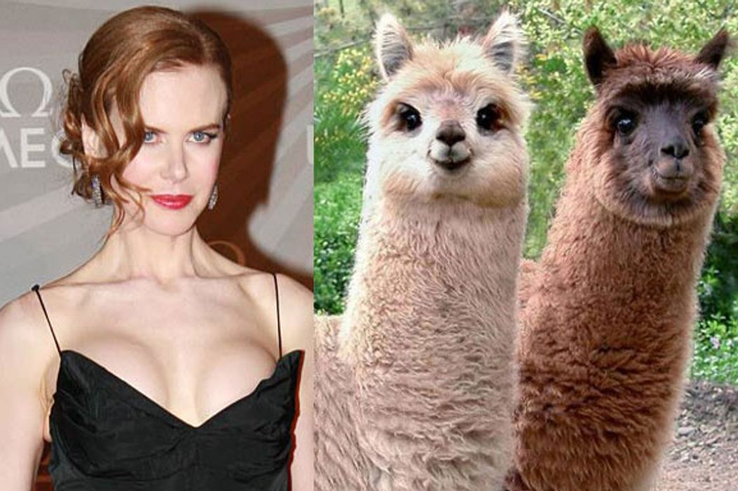 Nicole Kidman