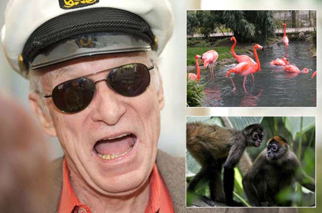 Hugh Hefner