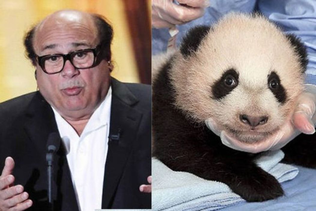 Danny de Vito