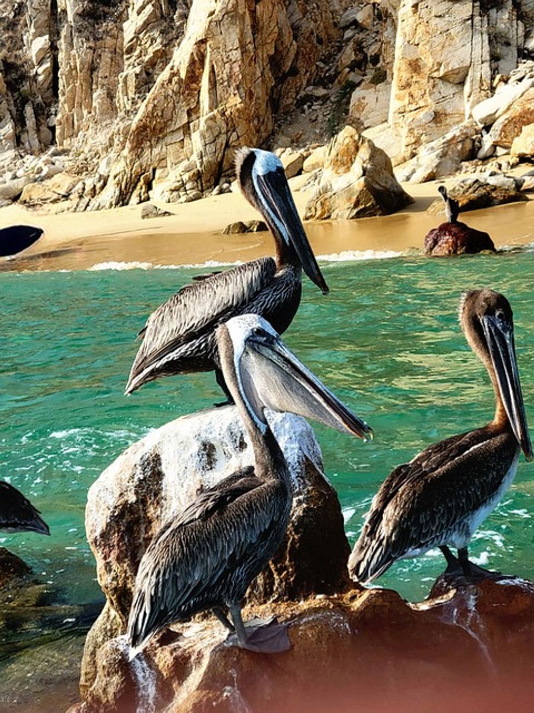 Cabo San Lucas-3