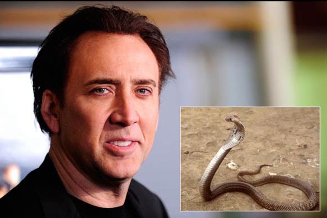 Nicolas Cage