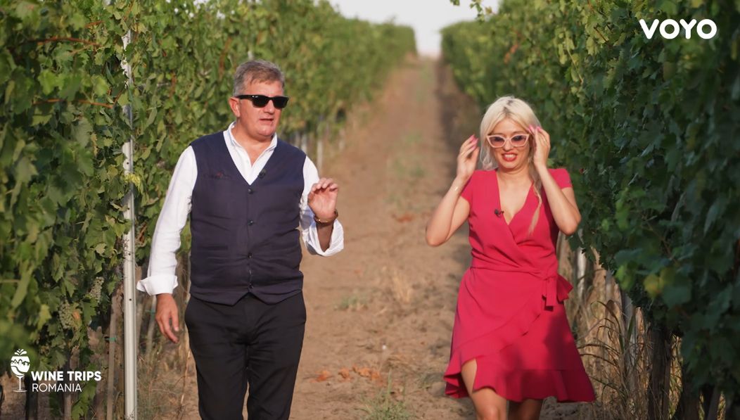 domeniul bogdan wine trips romania