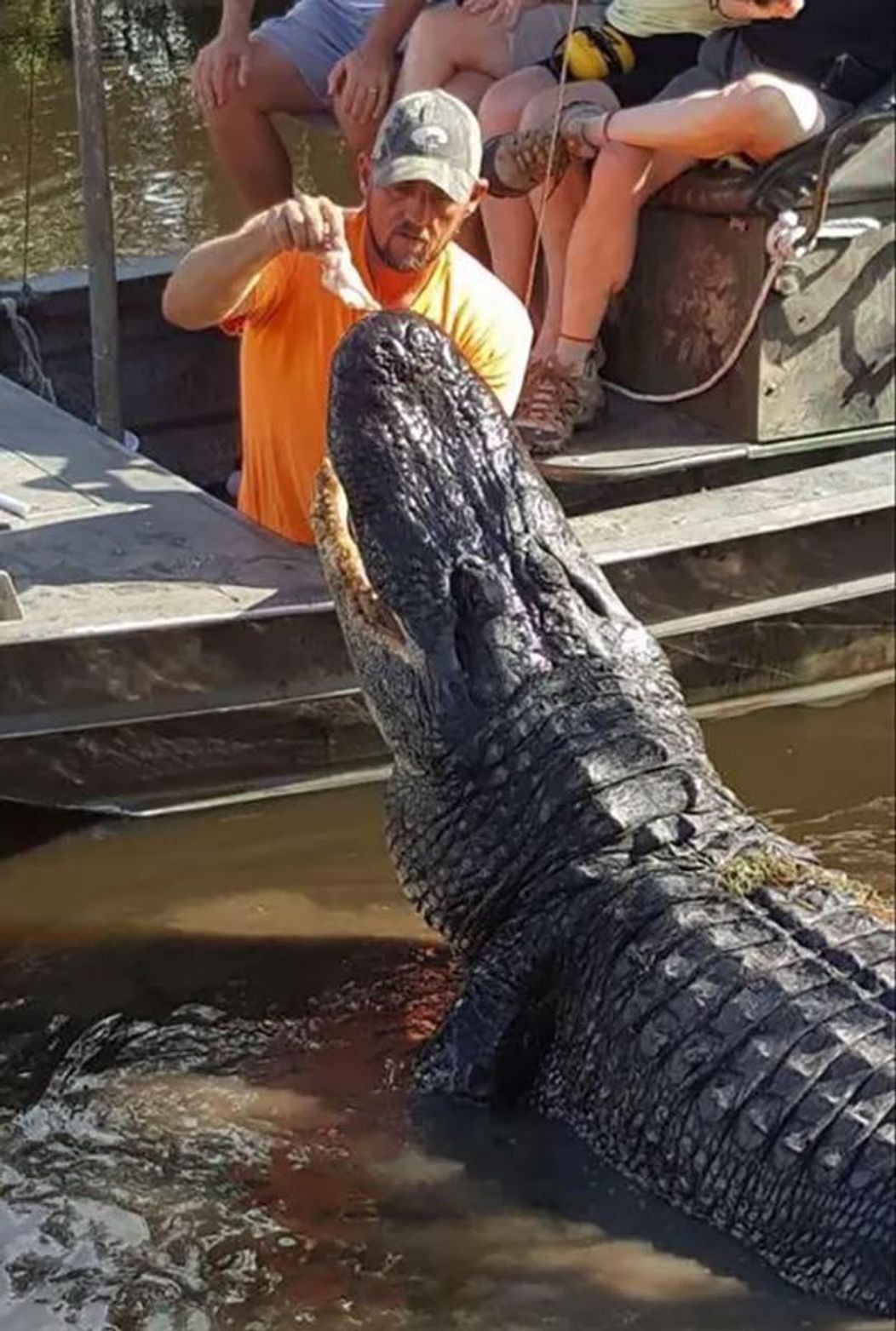 jeremy-croco