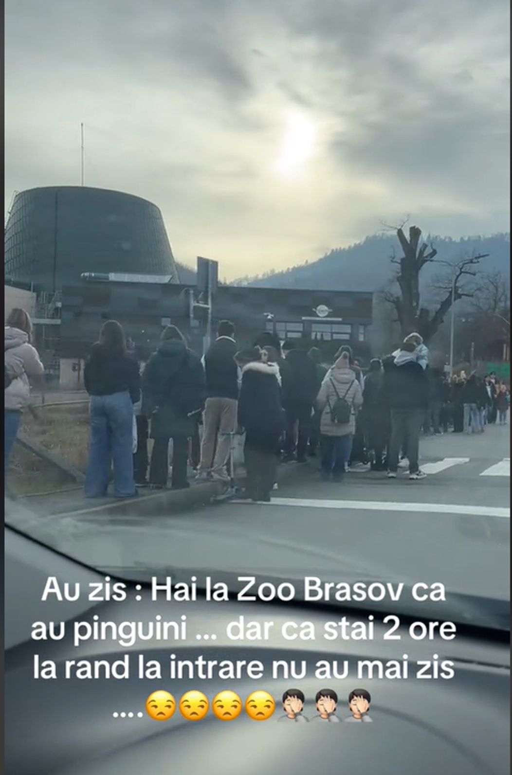 zoo brasov 2