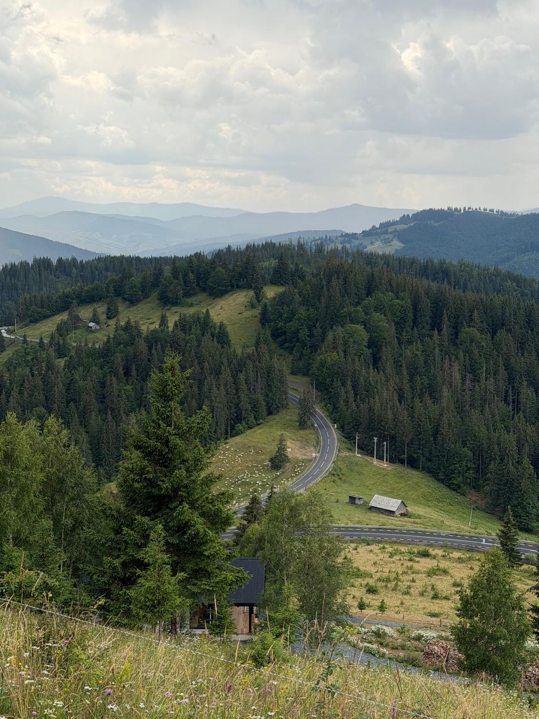 WhatsApp Image 2026-07-23 at 10.18.41 (2)