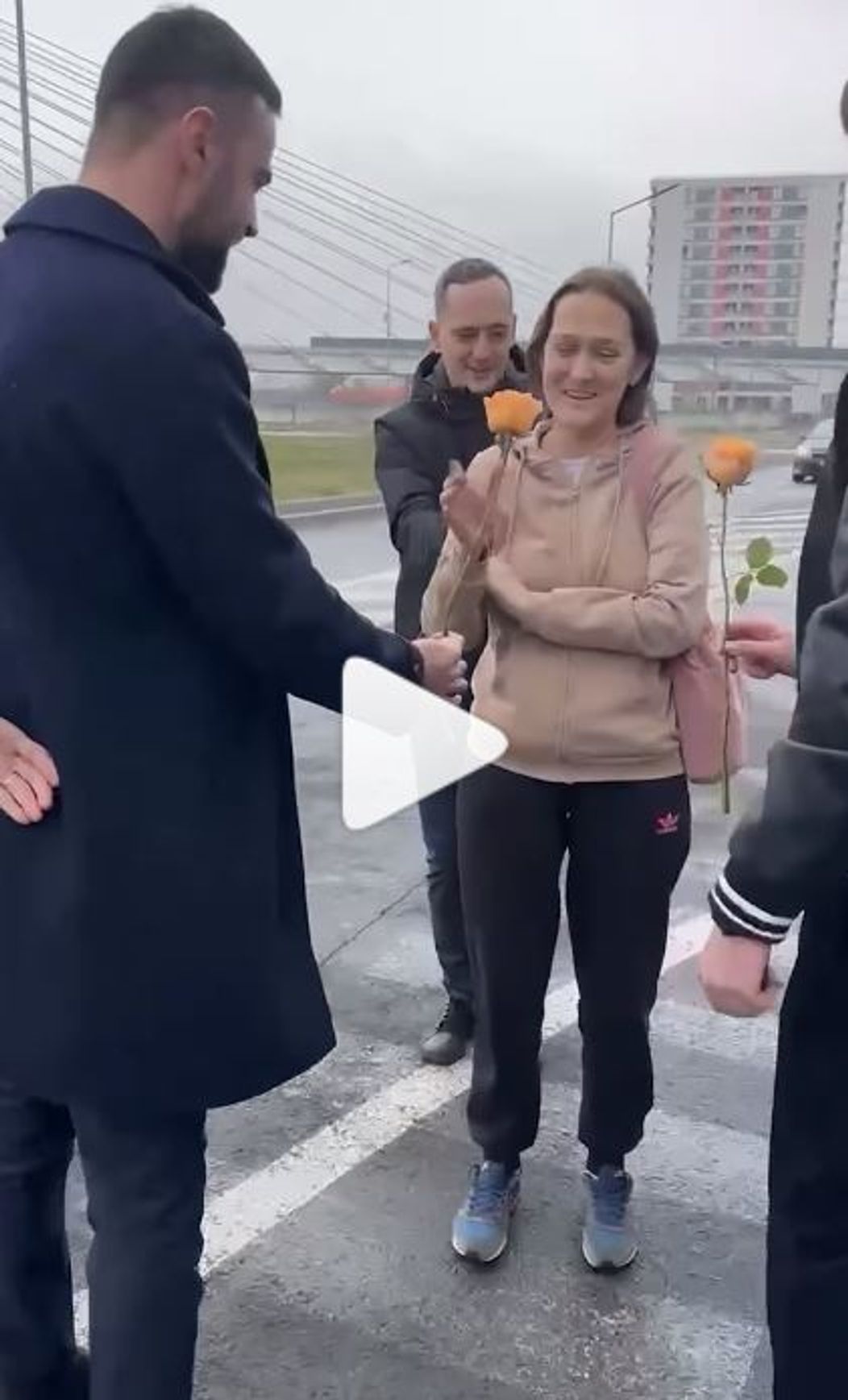 fana clanuul surpriza