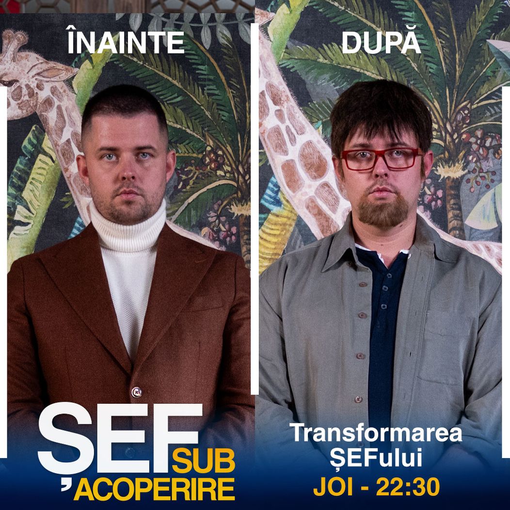 sef 115