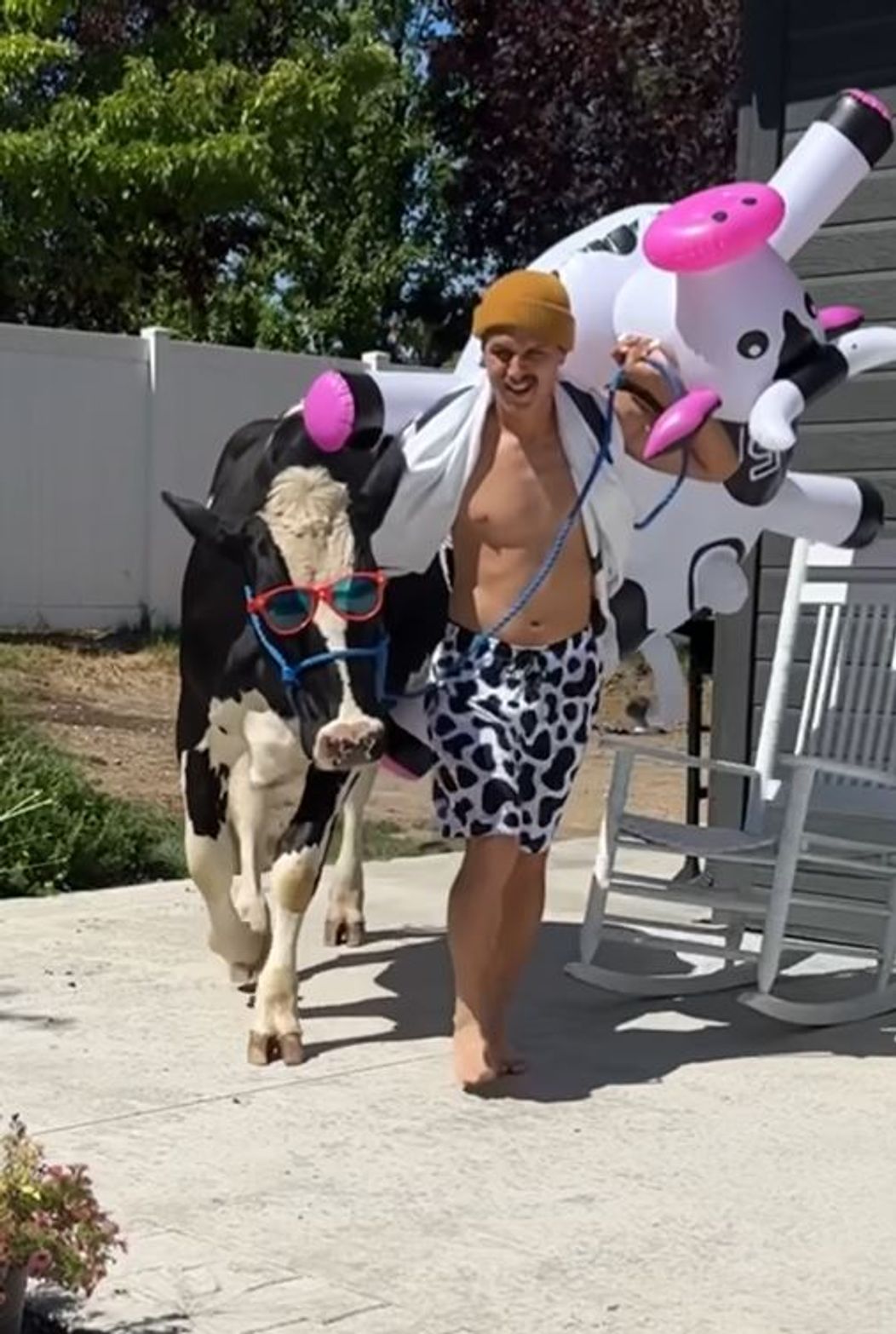 cu vaca la piscinsdjfsjd