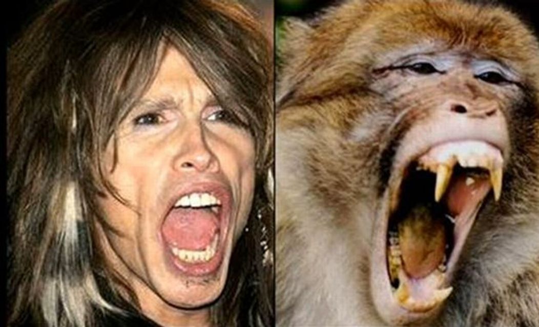 Steven Tyler