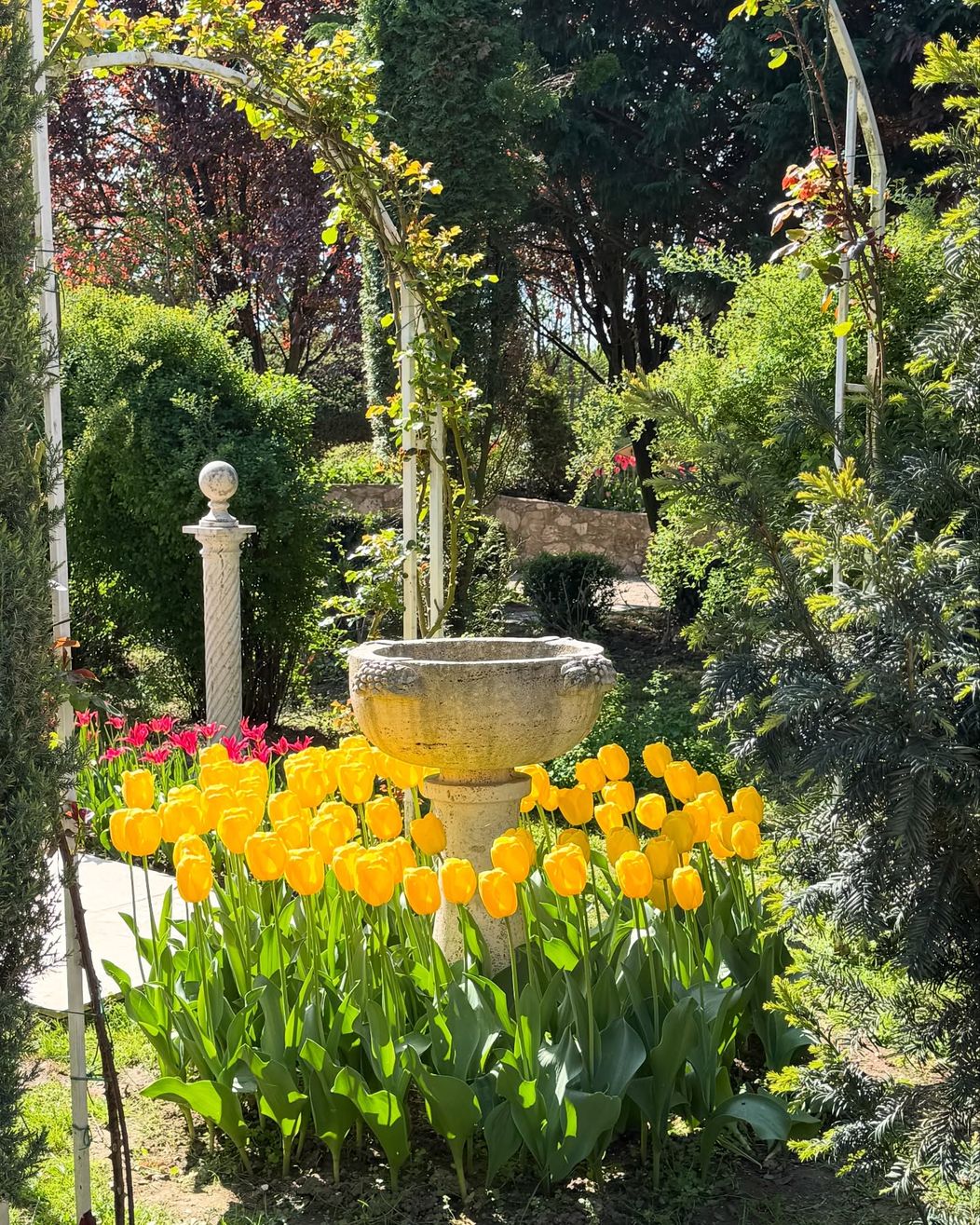 orasul-gradina