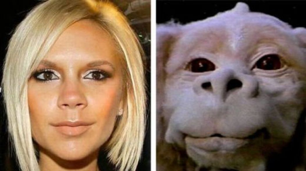 Victoria Beckham vs Falcor