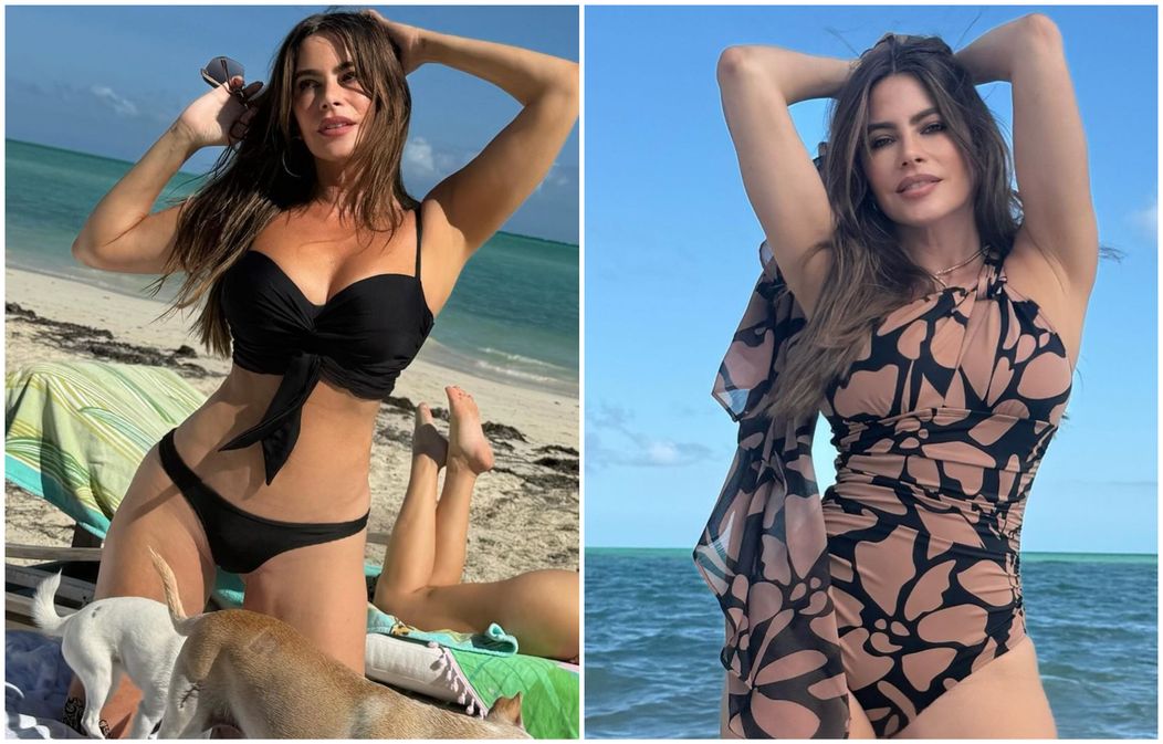 sofia vergara