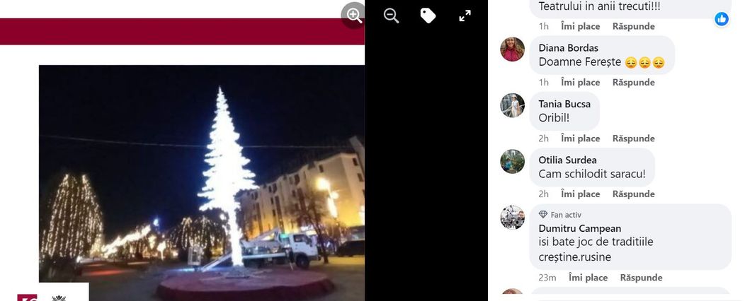 comentarii la brad targu mures