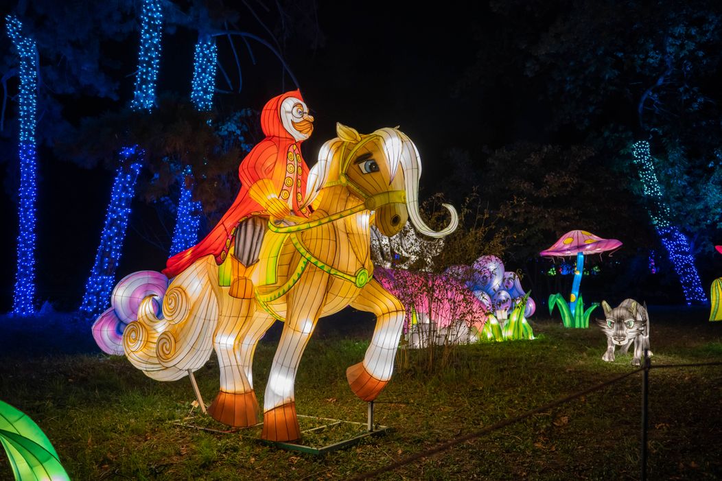 GARDEN OF LIGHTS-217