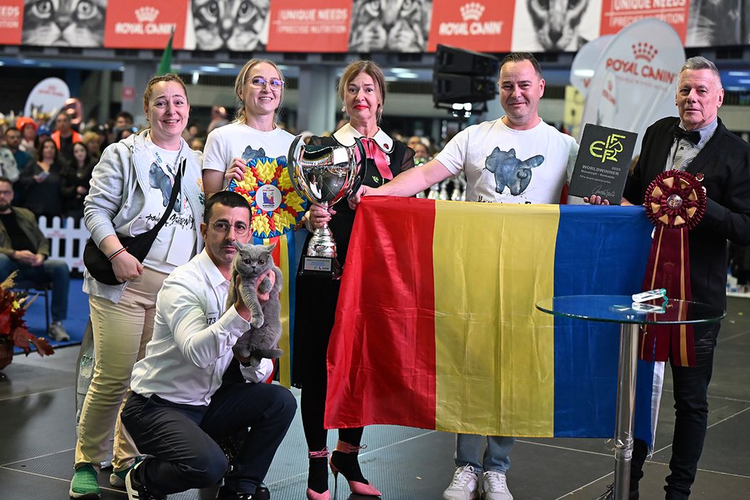 Bucovina Kira Kiralina1