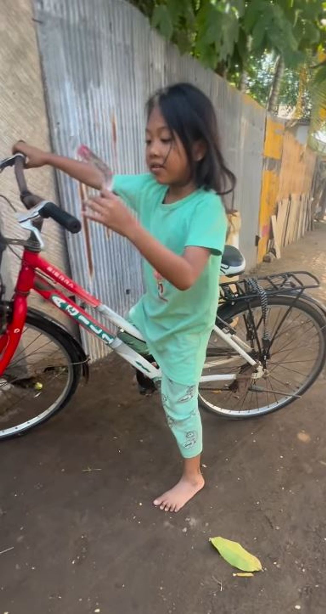 bali bsiddf