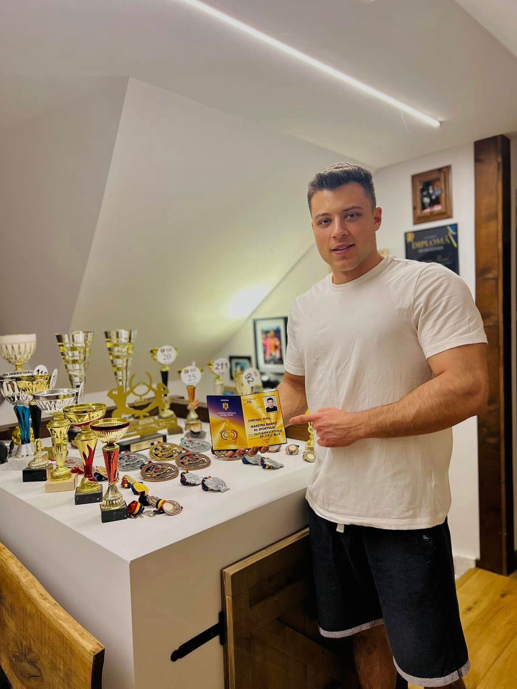 raul sapataru diplome
