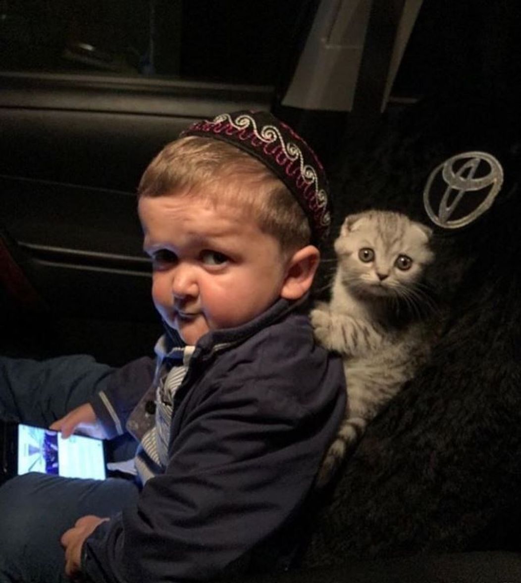 Hasbulla Magomedov are o pisică drăguță pe post de animal de companie