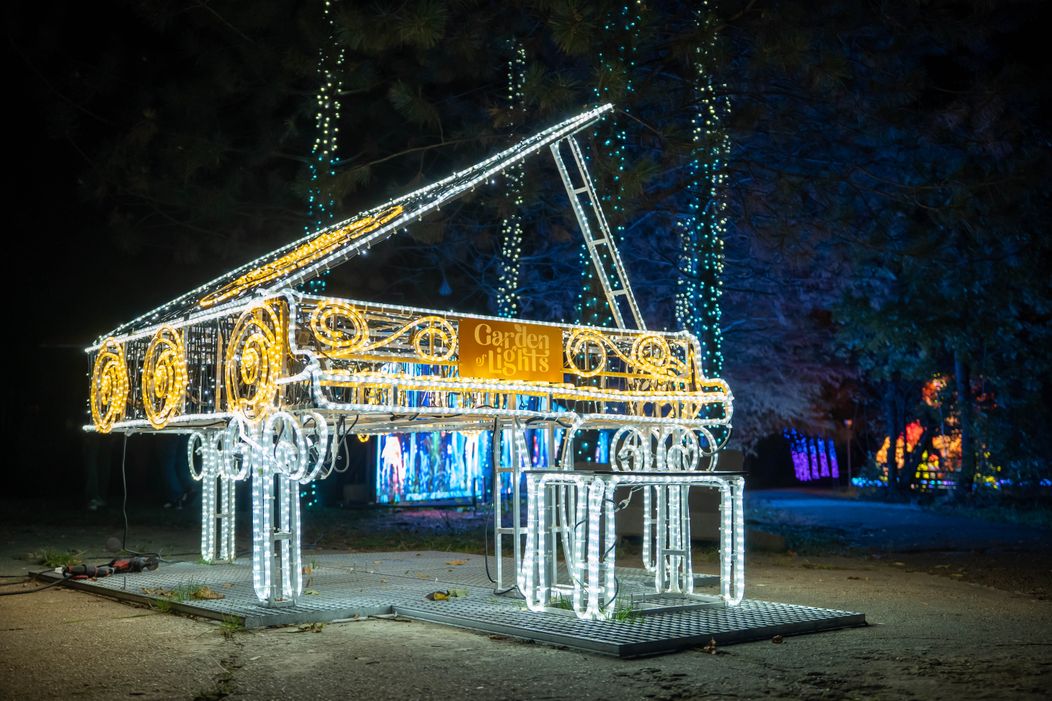 GARDEN OF LIGHTS-242
