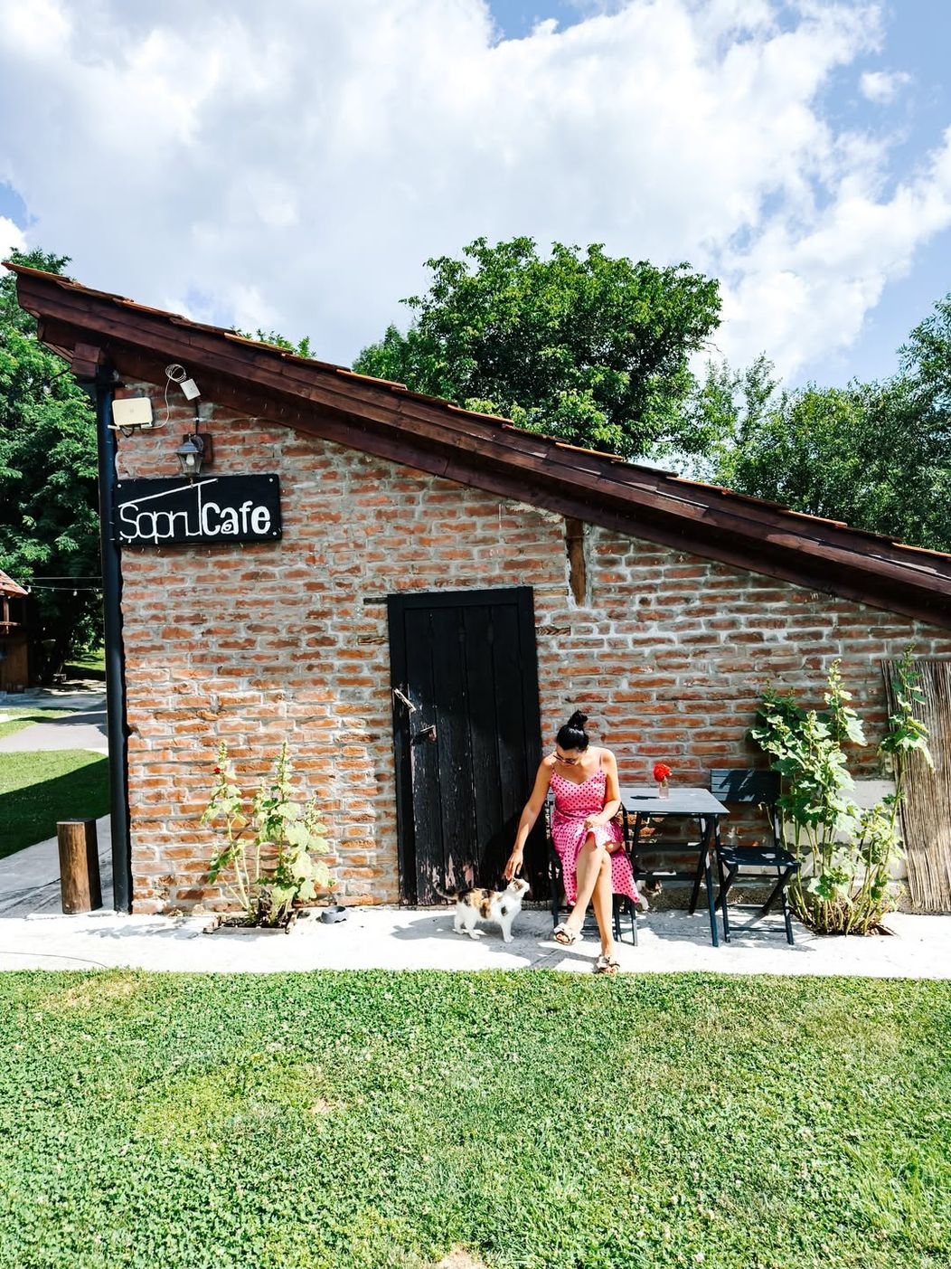 Ce zile de poveste am avut prin tara noastra! Am fost la prietenii din Oradea, apoi la cei de langa Hateg, aici, la @transylvanialogcabins, unde am petrecut doua zile perfecte, departe de zgomotul orasulu (7)