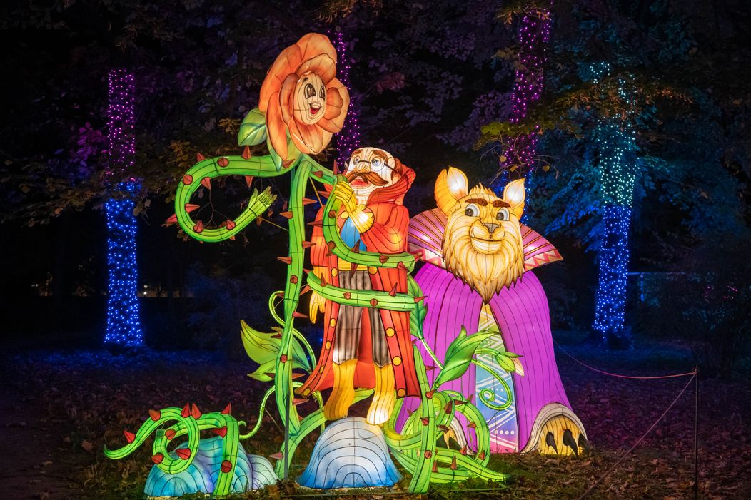 GARDEN OF LIGHTS-223