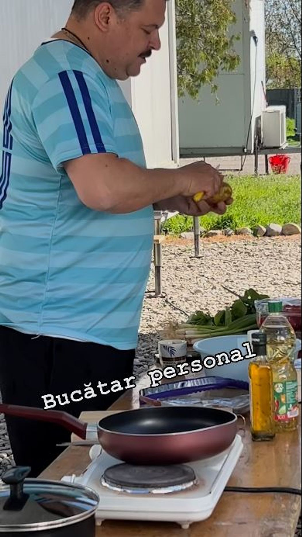 bobo gateste