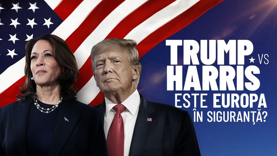 fbdbbb85-87a3-4c52-9c92-e7007d909d0c