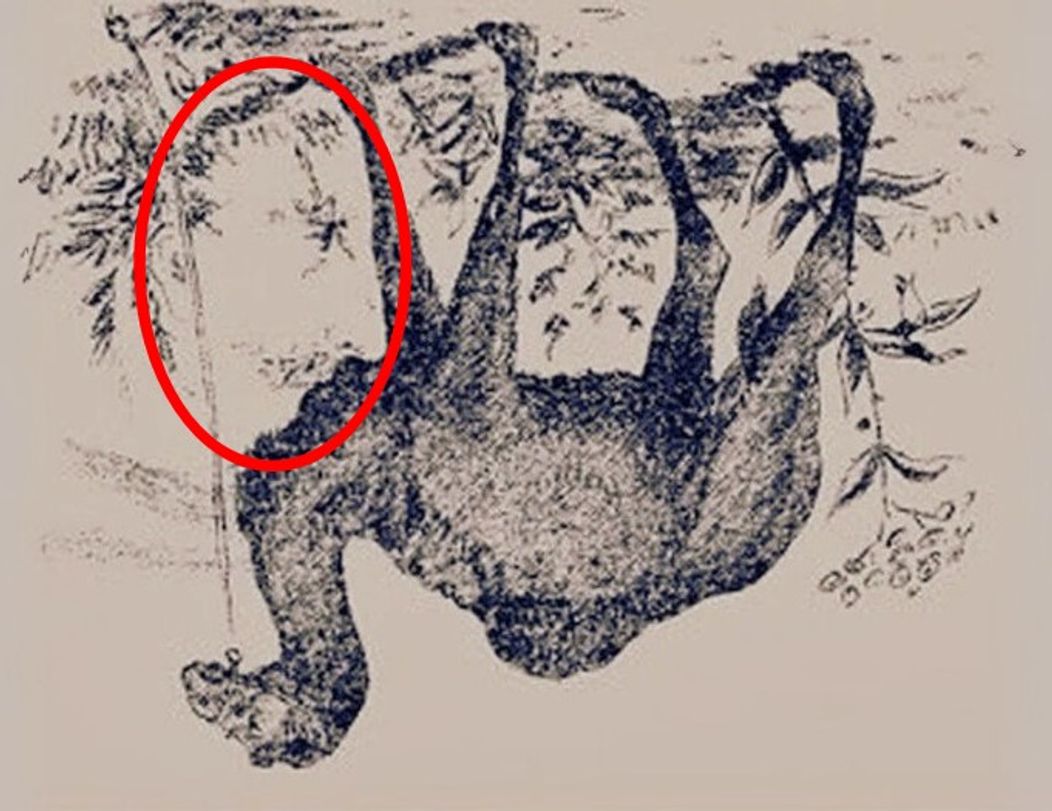 Find-two-hidden-faces-solved-part-one-1757447034902 (1)