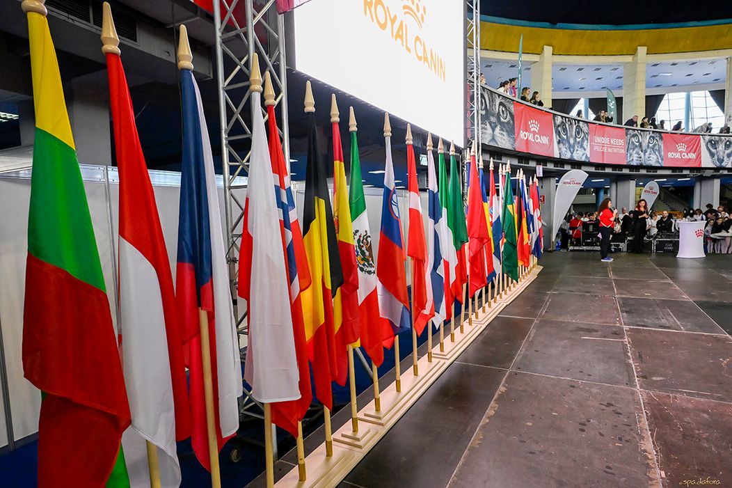 Campionatul Mondial Felin 2025