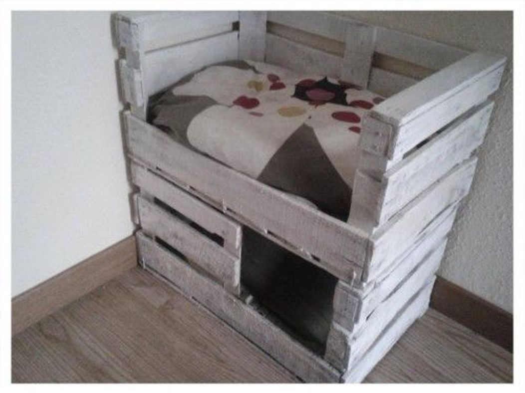 Surpriză pentru pisica ta! Cele mai ingenioase idei de „căsuțe” pentru animalul tău de companie