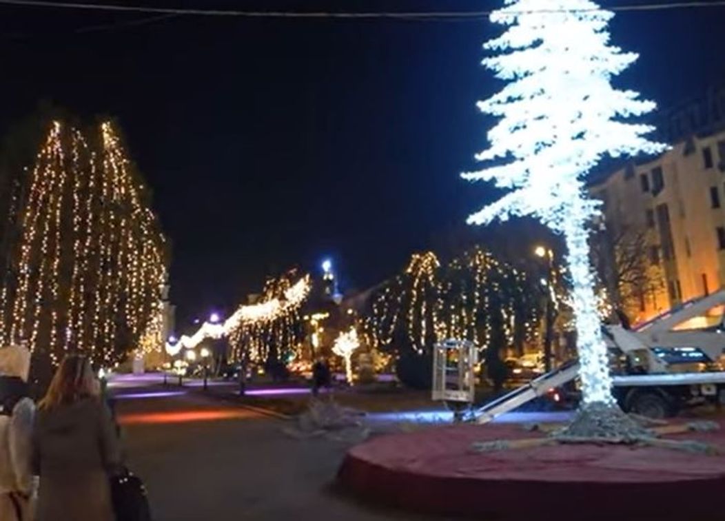 brad nou in targu mures_primaria