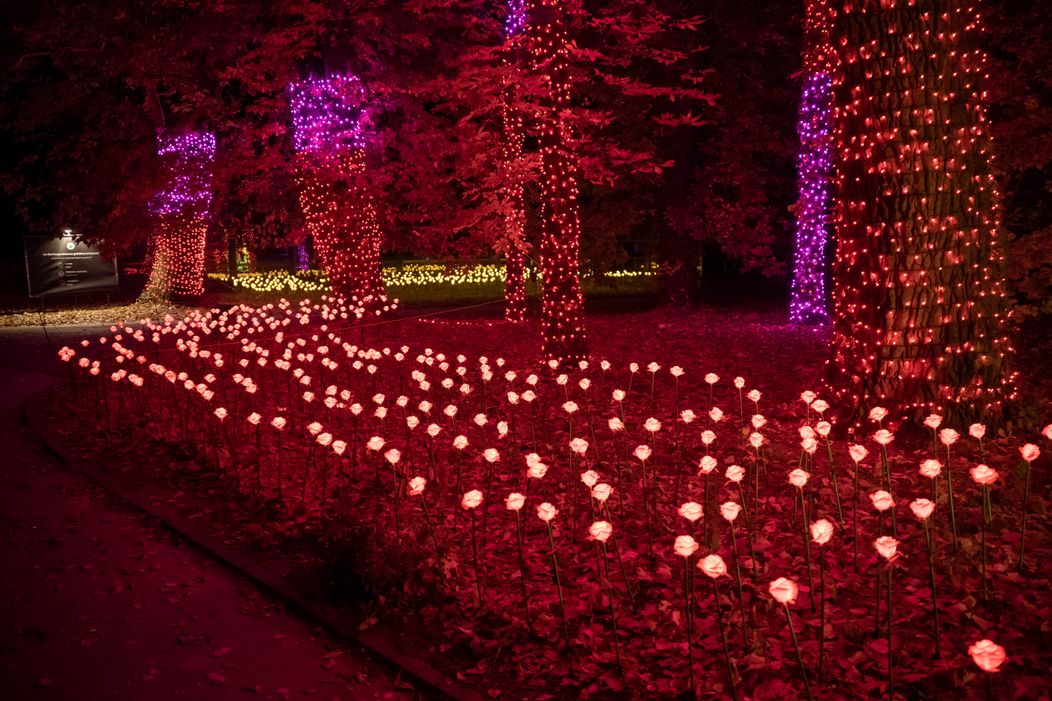 GARDEN OF LIGHTS-272