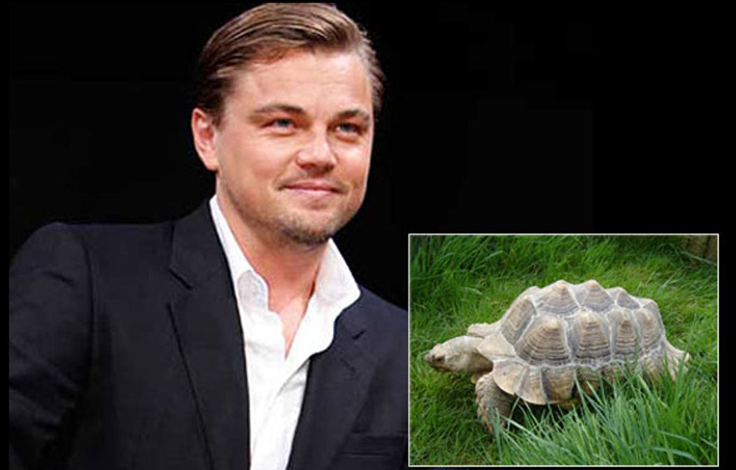 Leonardo DiCaprio