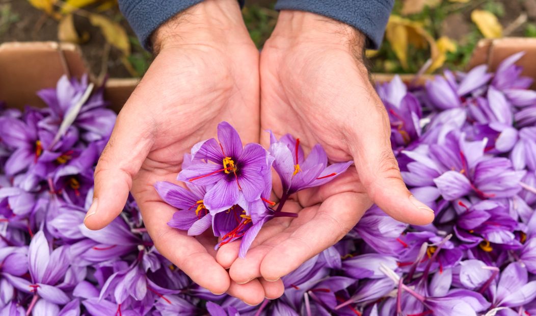 Sursa FOTO: Shutterstock