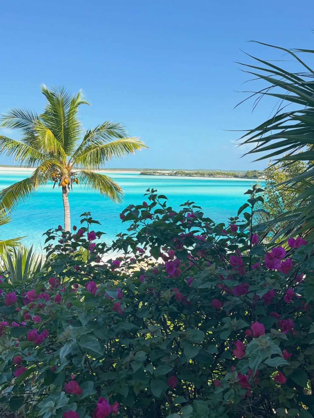 ☀️🌊🏝️🐚🌺🥥🌴∞ ♡ (9)