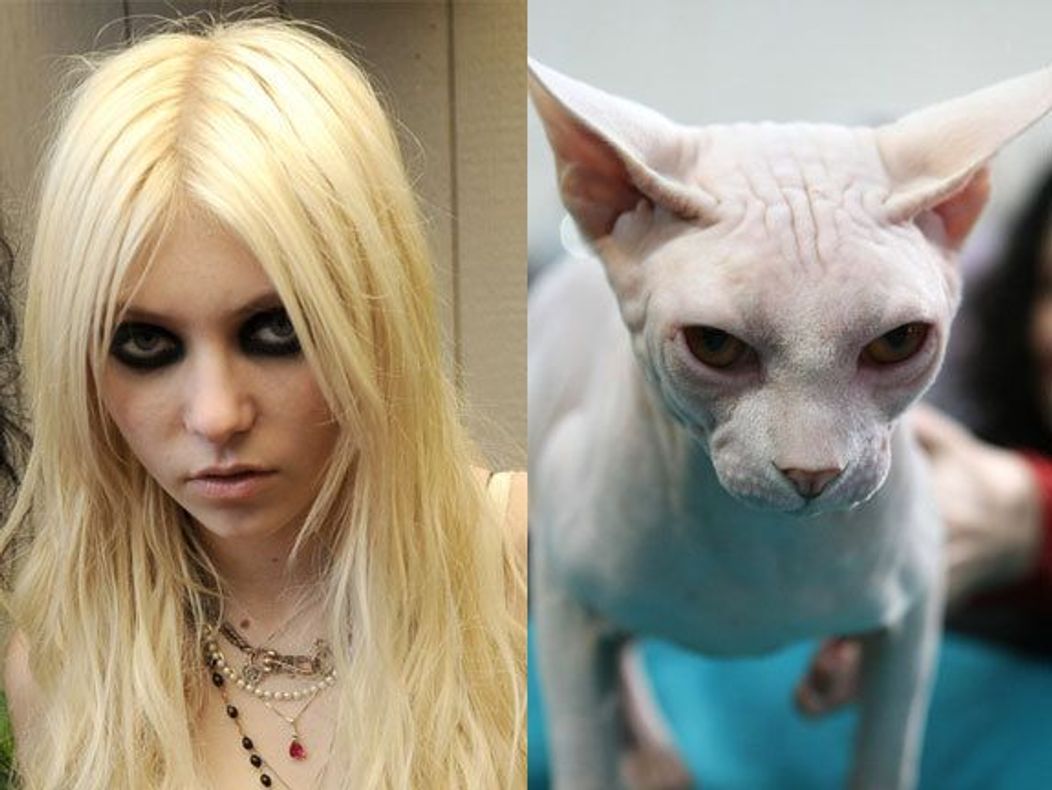 Taylor Momsen