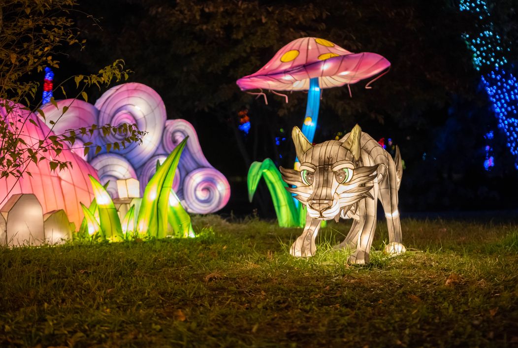 GARDEN OF LIGHTS-220