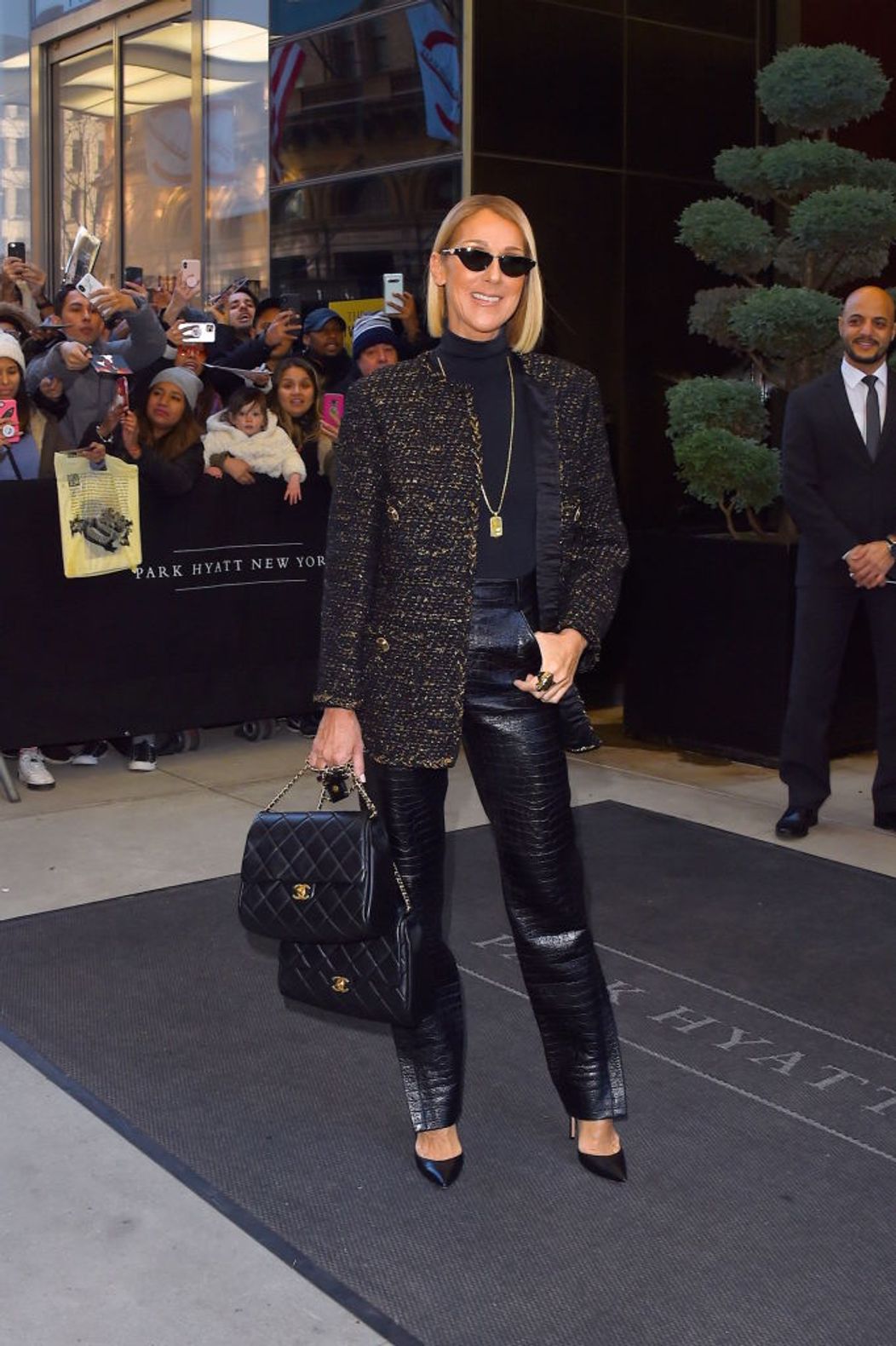 celine dion (10)