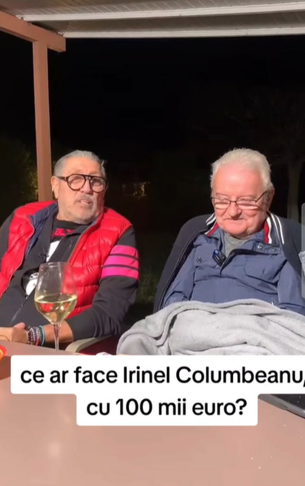 irinel columbeanu afacere