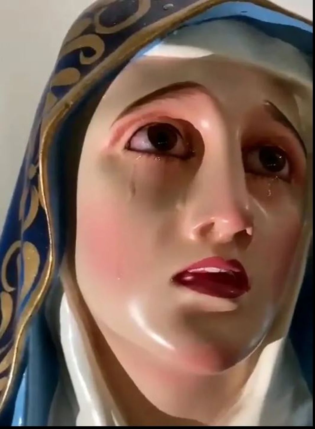 mary 7